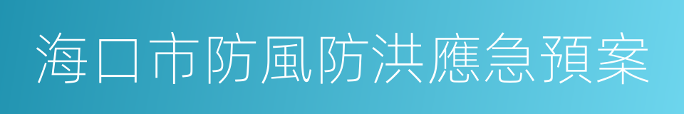 海口市防風防洪應急預案的同義詞