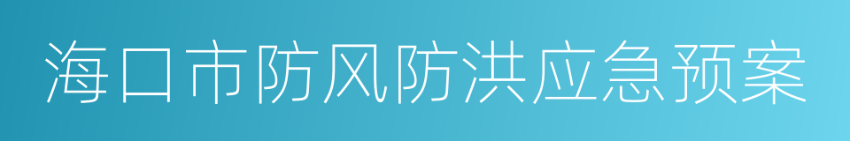 海口市防风防洪应急预案的同义词