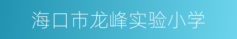 海口市龙峰实验小学的同义词