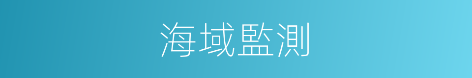 海域監測的同義詞