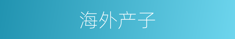 海外产子的同义词