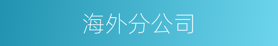 海外分公司的同义词