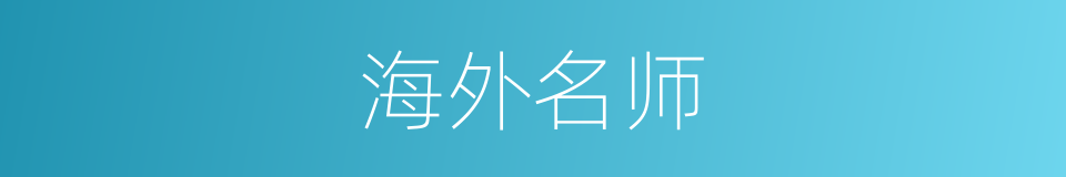 海外名师的同义词