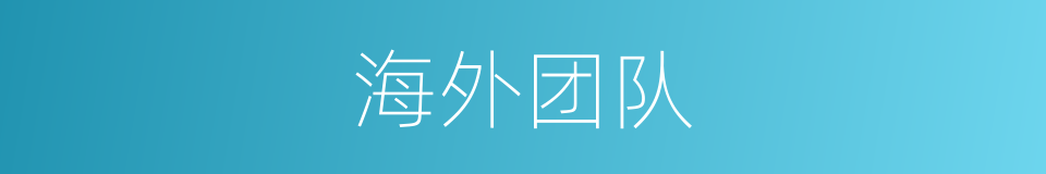 海外团队的同义词