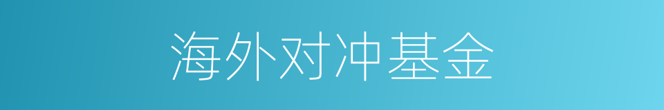 海外对冲基金的同义词