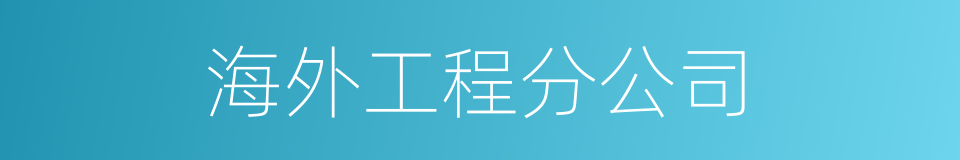 海外工程分公司的同义词