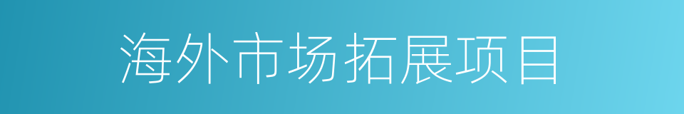 海外市场拓展项目的同义词