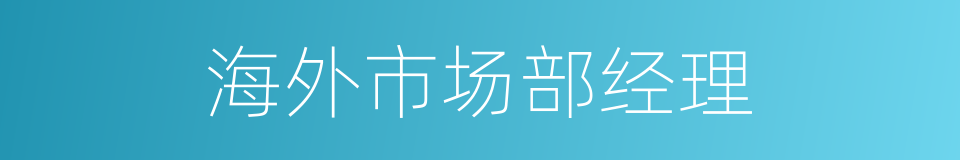 海外市场部经理的同义词