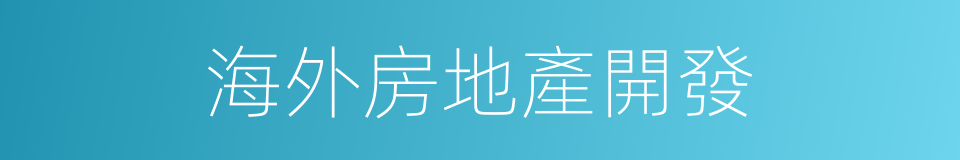 海外房地產開發的同義詞