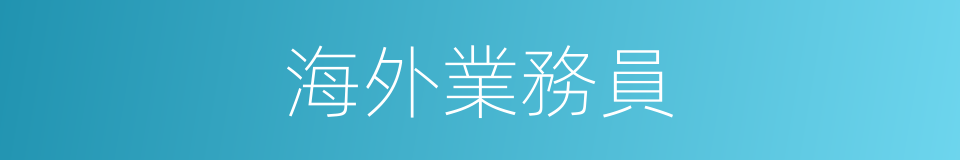 海外業務員的同義詞