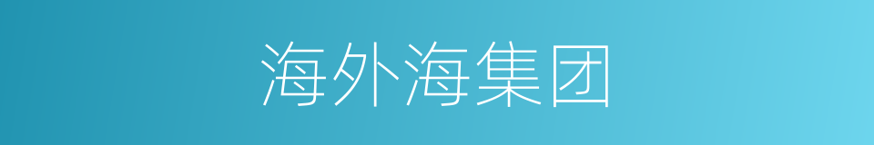 海外海集团的同义词