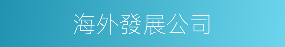 海外發展公司的同義詞