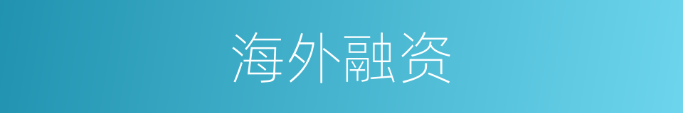 海外融资的同义词