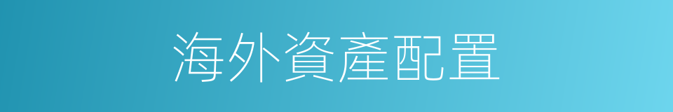 海外資產配置的同義詞