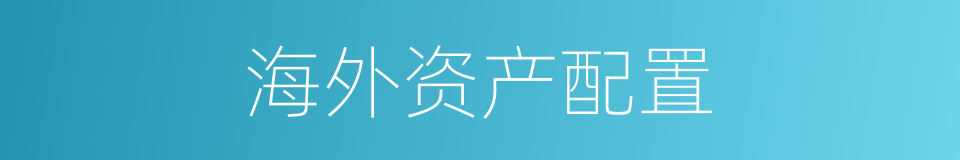 海外资产配置的同义词