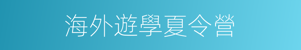 海外遊學夏令營的同義詞