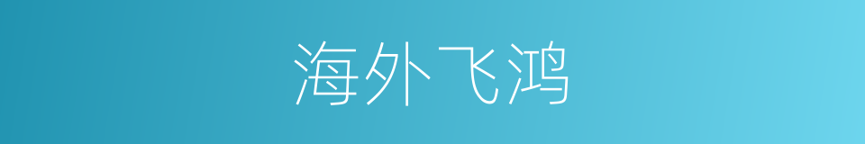 海外飞鸿的同义词