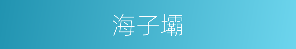 海子壩的同義詞