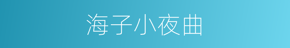 海子小夜曲的同义词
