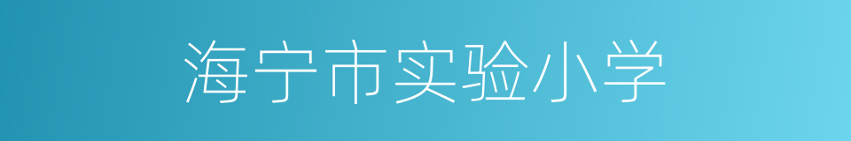 海宁市实验小学的同义词