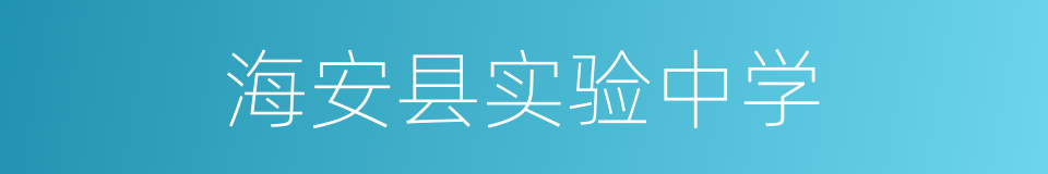 海安县实验中学的同义词