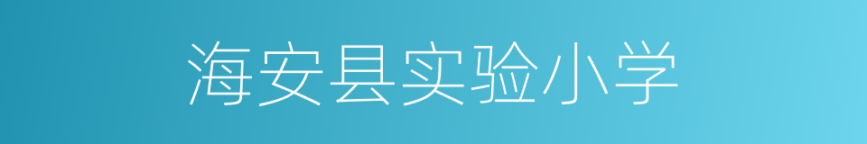 海安县实验小学的同义词