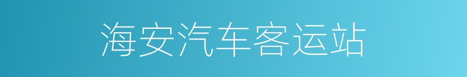 海安汽车客运站的同义词