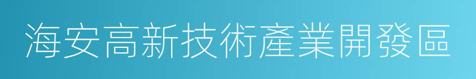 海安高新技術產業開發區的同義詞
