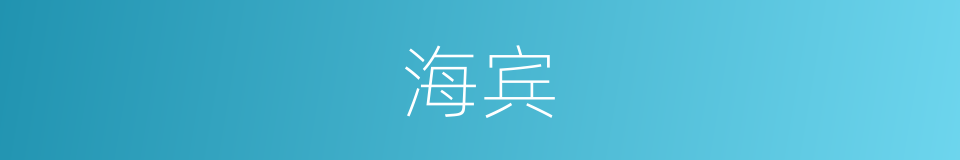 海宾的同义词