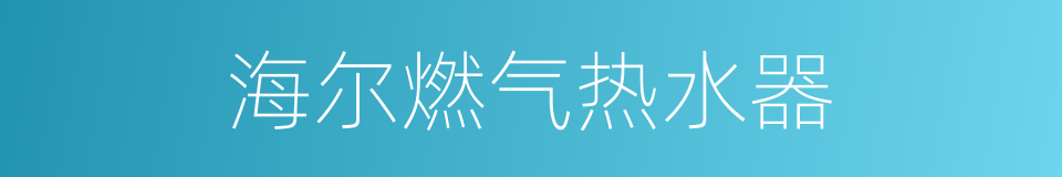 海尔燃气热水器的同义词