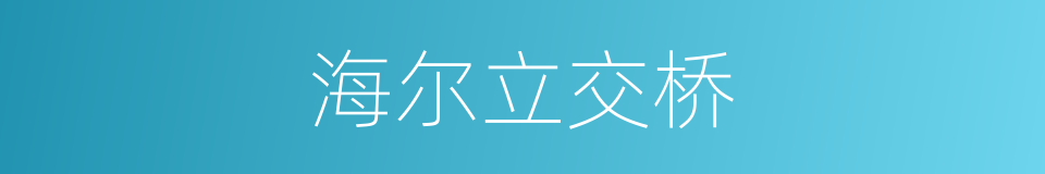 海尔立交桥的同义词