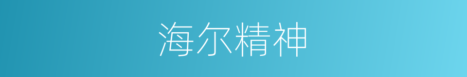 海尔精神的同义词