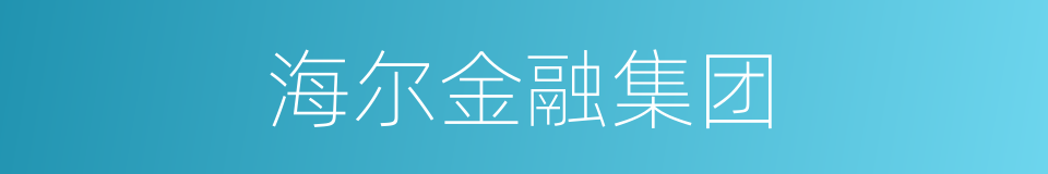 海尔金融集团的同义词