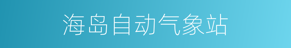 海岛自动气象站的同义词