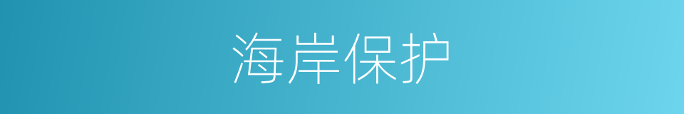 海岸保护的同义词