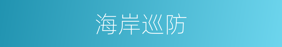 海岸巡防的同义词