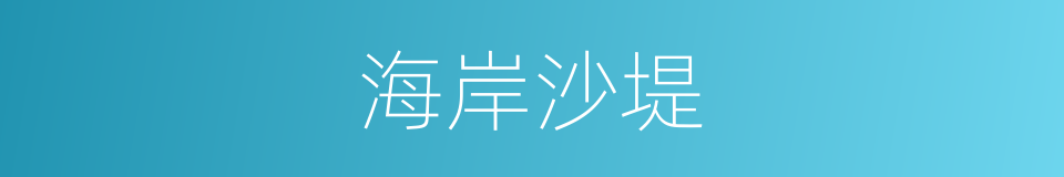 海岸沙堤的同义词