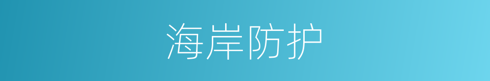 海岸防护的同义词