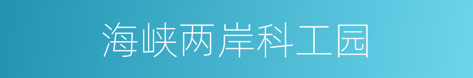海峡两岸科工园的同义词