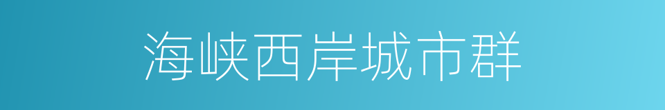 海峡西岸城市群的同义词