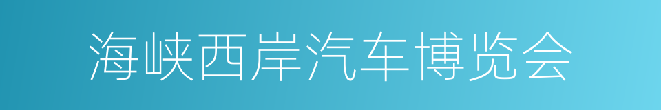 海峡西岸汽车博览会的同义词