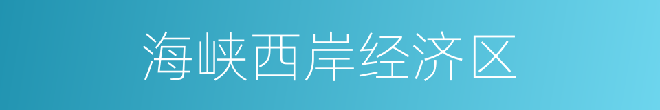 海峡西岸经济区的同义词