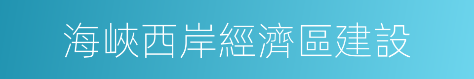海峽西岸經濟區建設的同義詞