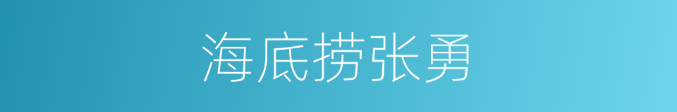 海底捞张勇的同义词