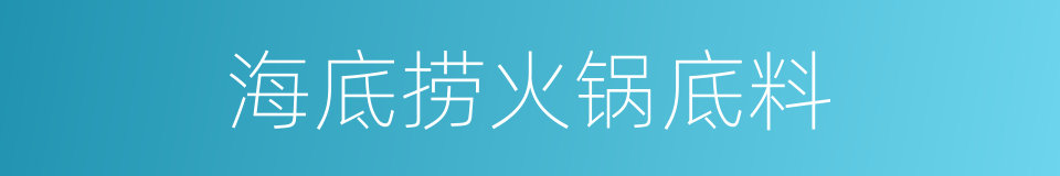 海底捞火锅底料的同义词