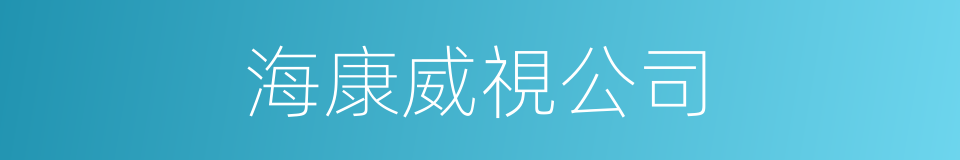 海康威視公司的同義詞