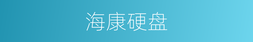 海康硬盘的同义词