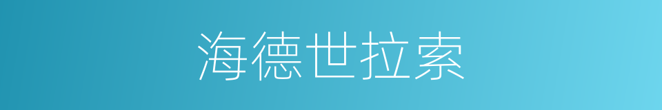 海德世拉索的同义词