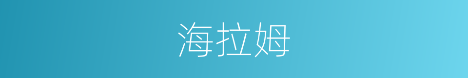 海拉姆的同义词