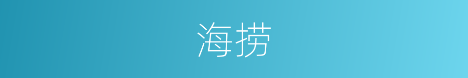 海捞的同义词